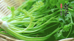 挑選鮮嫩的香菜，洗干凈后，處理成小段。
